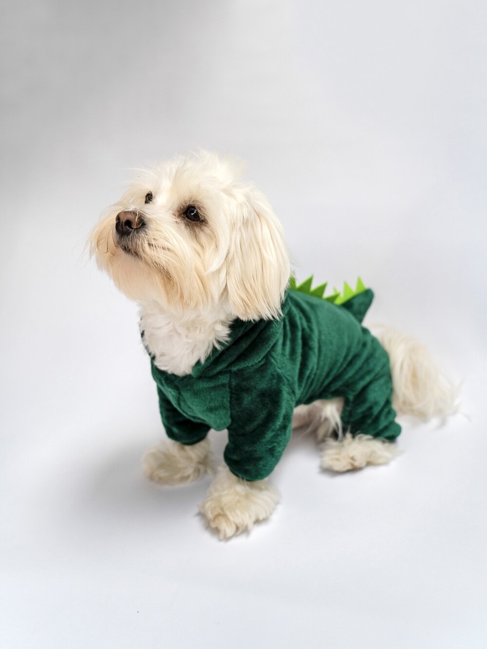 A white fluffy dog wearing a green dinosaur all in one suit