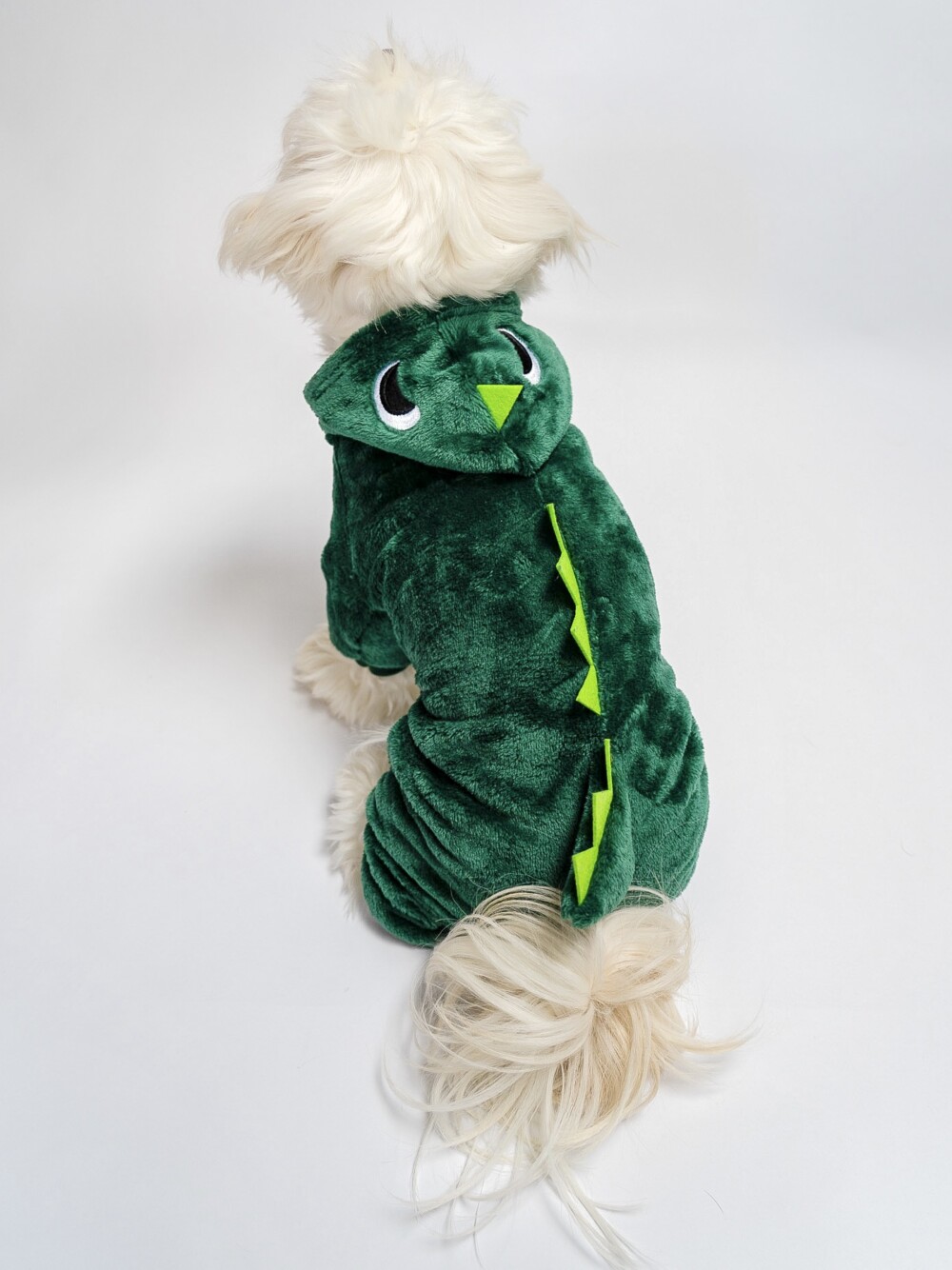 A cute small white dog wearing a green dinosaur costume from above