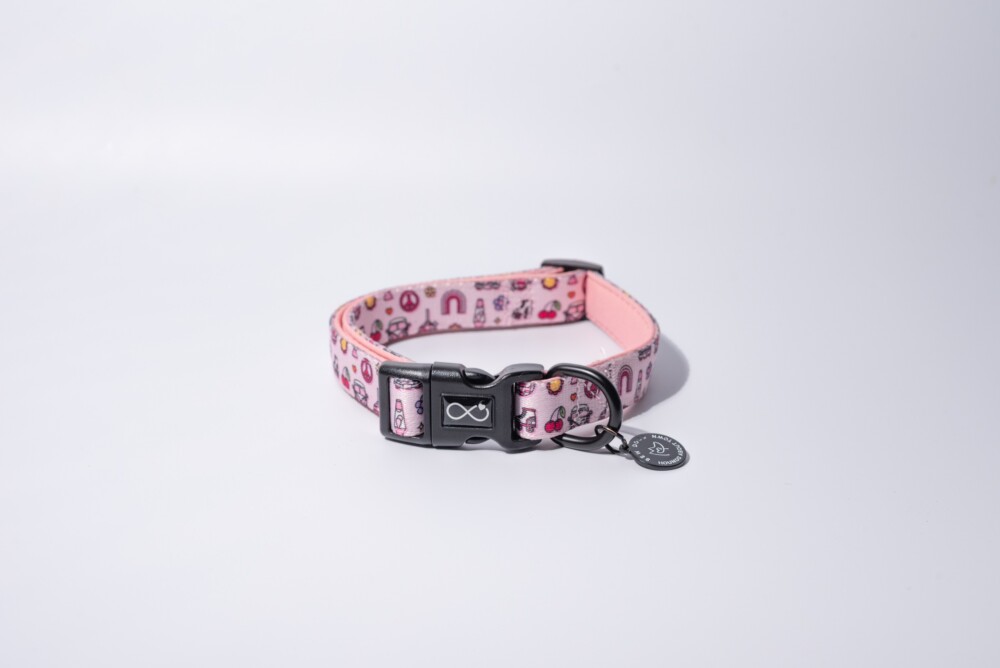 A pink neoprene collar against a white background