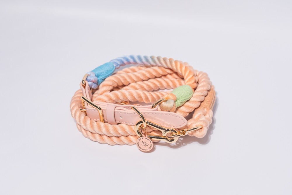 A peach rope lead and rainbow collar on a white background