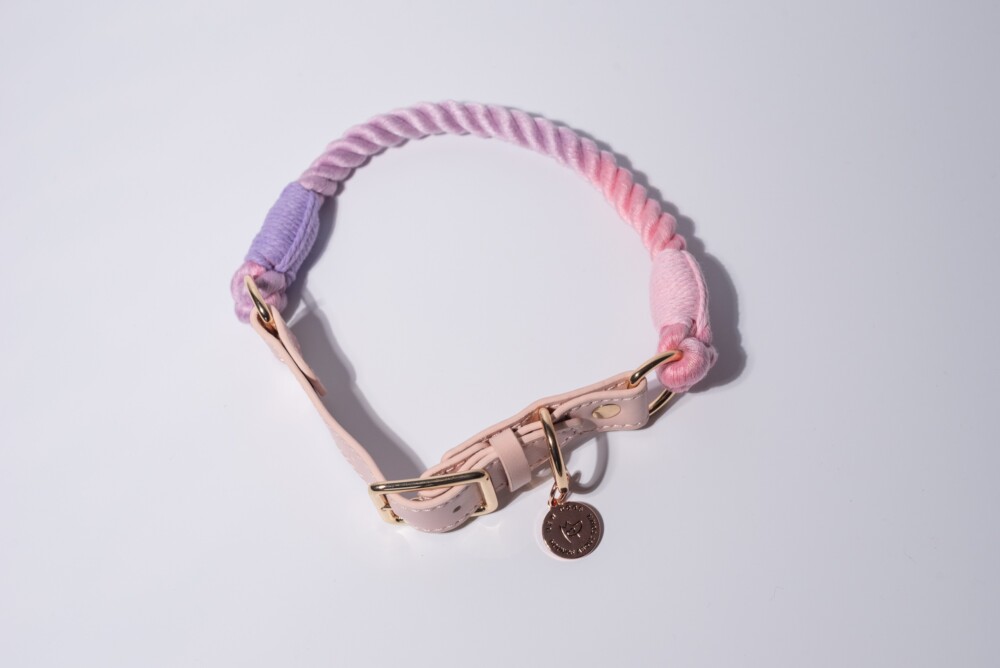 a rainbow rope collar on a white background