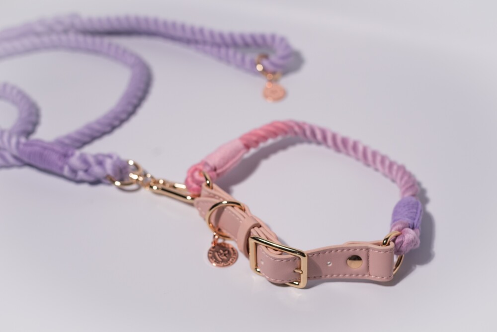 A lilac rope lead and rope collar on a white background