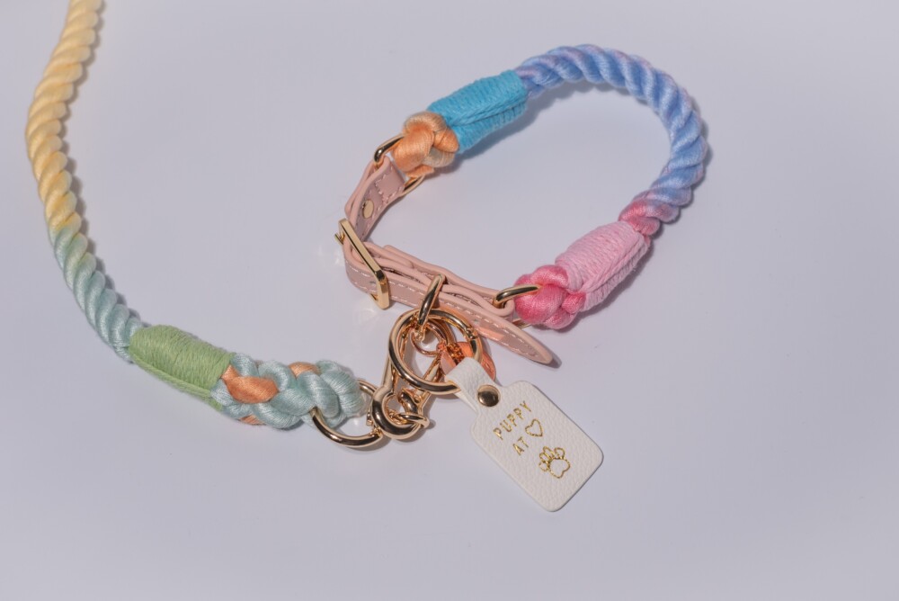 A rainbow rope lead connected to a rainbow rope collar on a white background with a dog tag saying "puppy at heart".