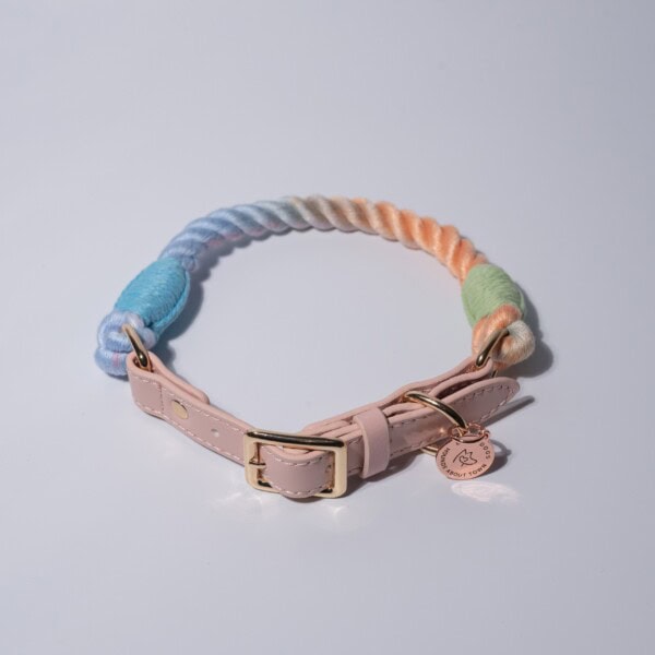 A blue and peach rope collar on a white background