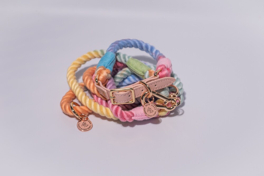 A rainbow lead and rainbow rope collar on a white background