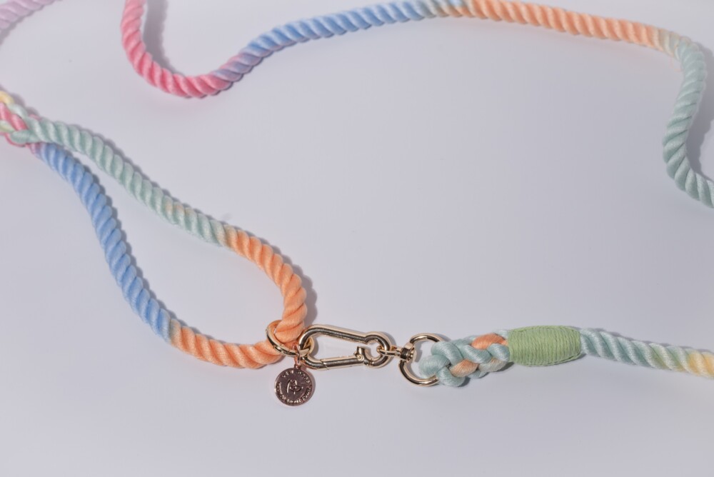 A rainbow rope lead on a white background