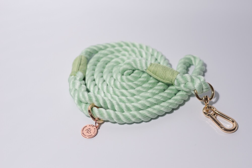 A mint green rope lead on a white background