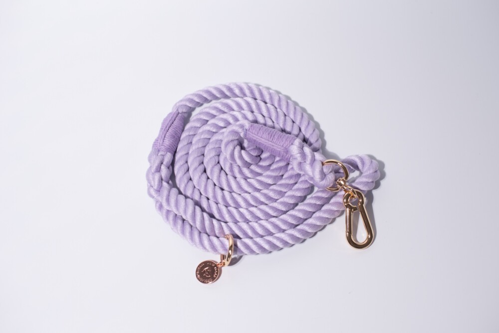 A lilac rope lead on a white background