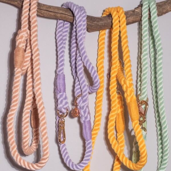 A tree branch with four pastel rope leads for dogs draped over it