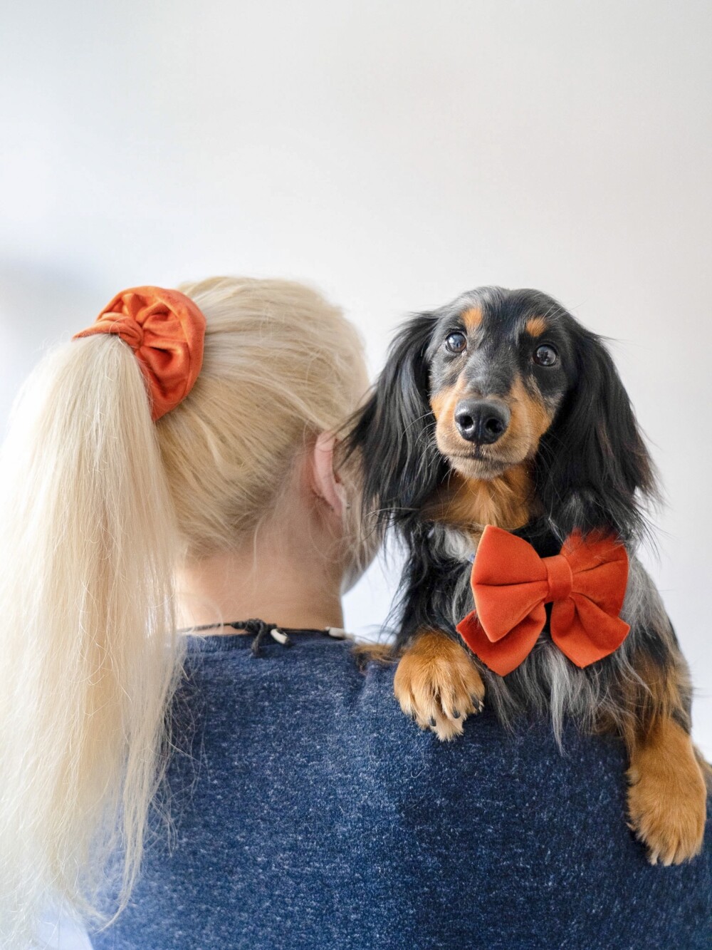 a blonde haired woman with her back to the camera and a cute burnt orange scrunchie in her hair. she is holding a black and tan sausage dog who is wearing a matching large sailor bow.