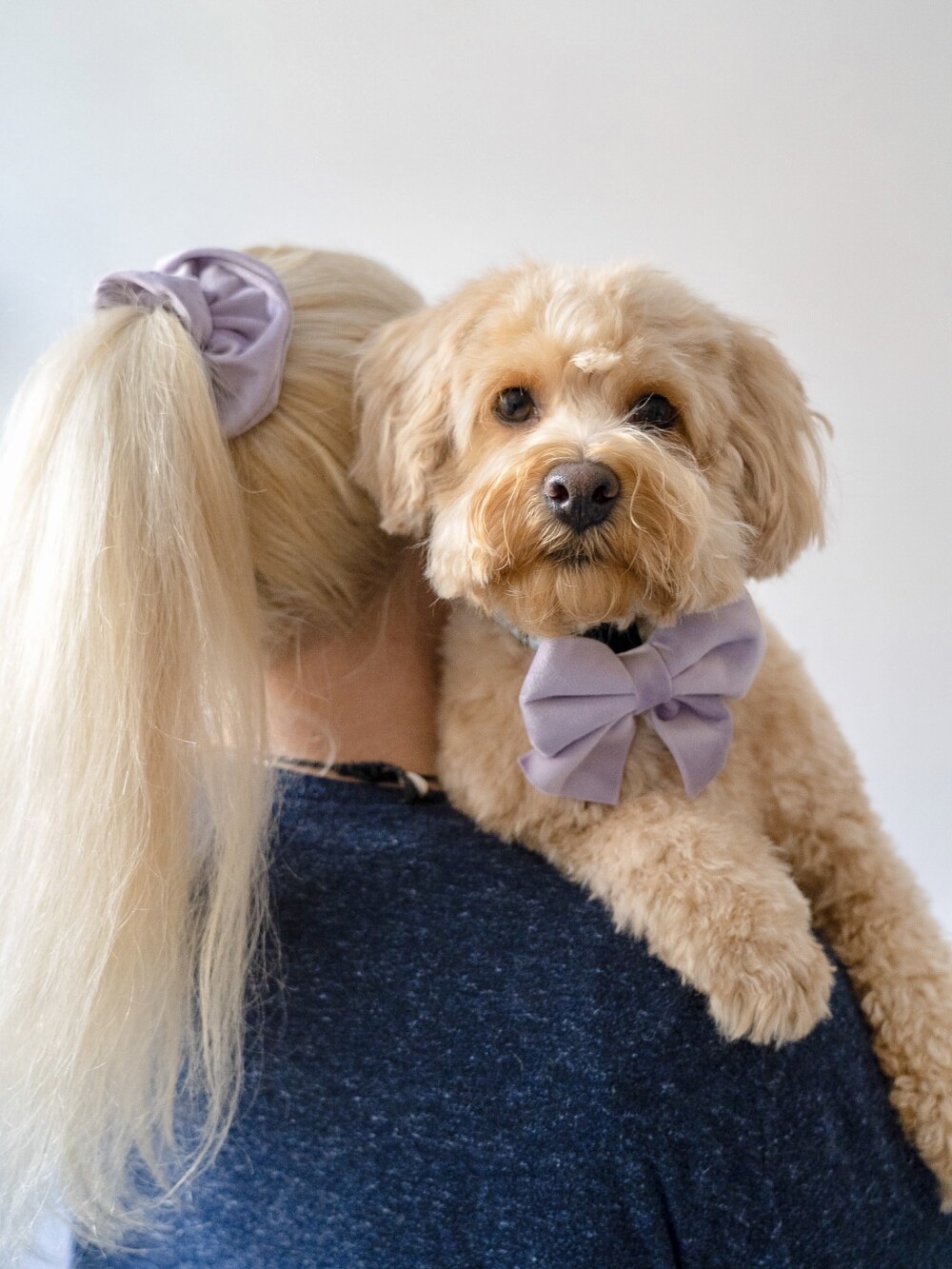 a blonde haired woman with her back to the camera and a cute lilac scrunchie in her hair. she is holding a blonde dog who is wearing a matching large sailor bow.
