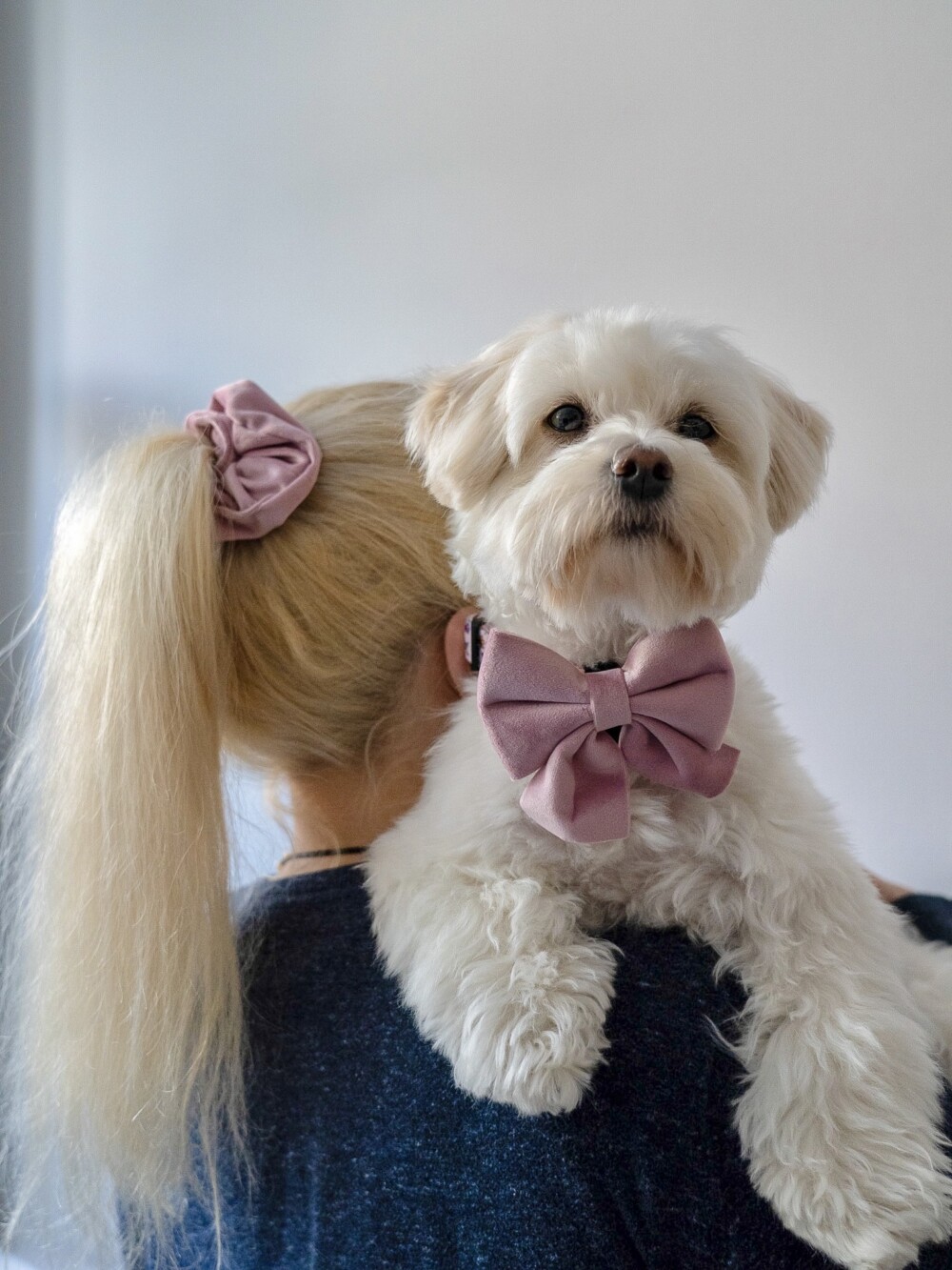 a blonde haired woman with her back to the camera and a cute pink scrunchie in her hair. she is holding a white fluffy dog who is wearing a matching large sailor bow.