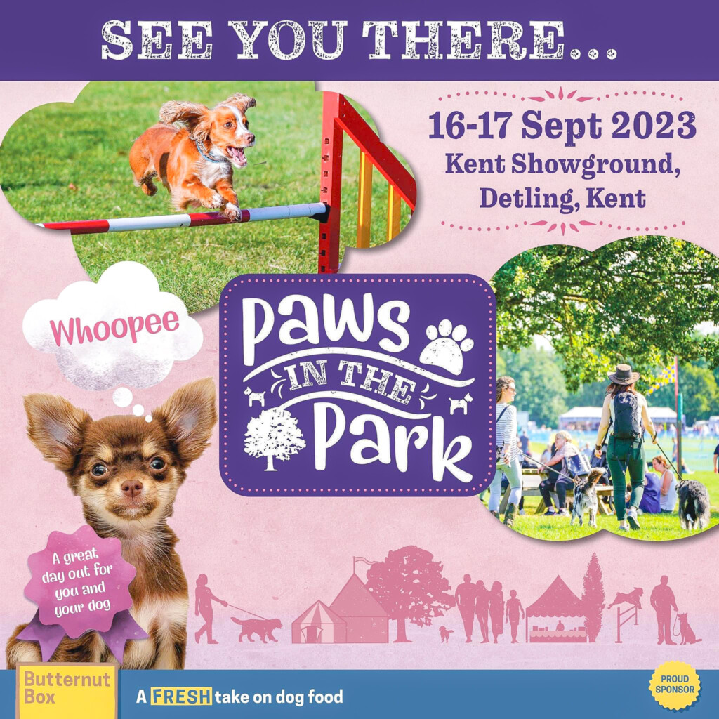 a flyer for dog friendly events organisers paws in the park, in kent in september. with some pictures of cute dogs enjoying agility