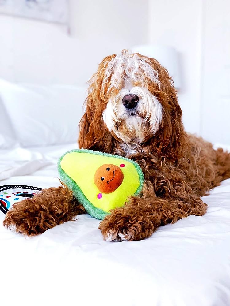 a brown large fluffy dog, with a white stripe of hair on his forehead, laying on a bed with white sheets and a soft plushie dog toy shaped like an avocado.