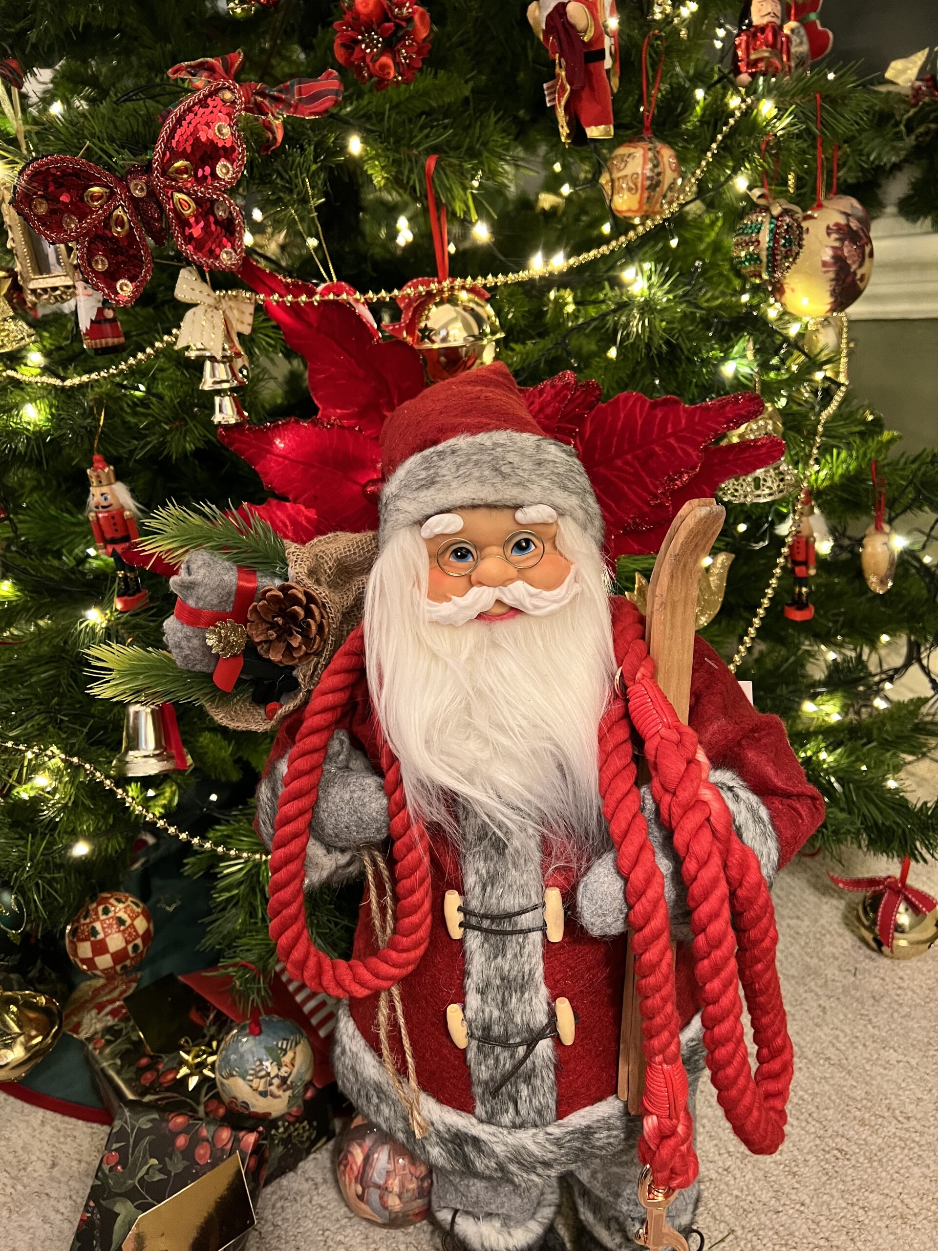A toy santa statue holds a christmas red rainbow rope lead for dogs. he is standing in front of a decorated christmas tree.