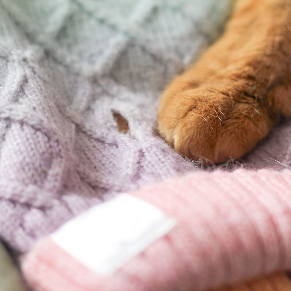 a red tabby cats paw is shown on top of a close up of a rainbow yarn, cable knit cat and dog jumper