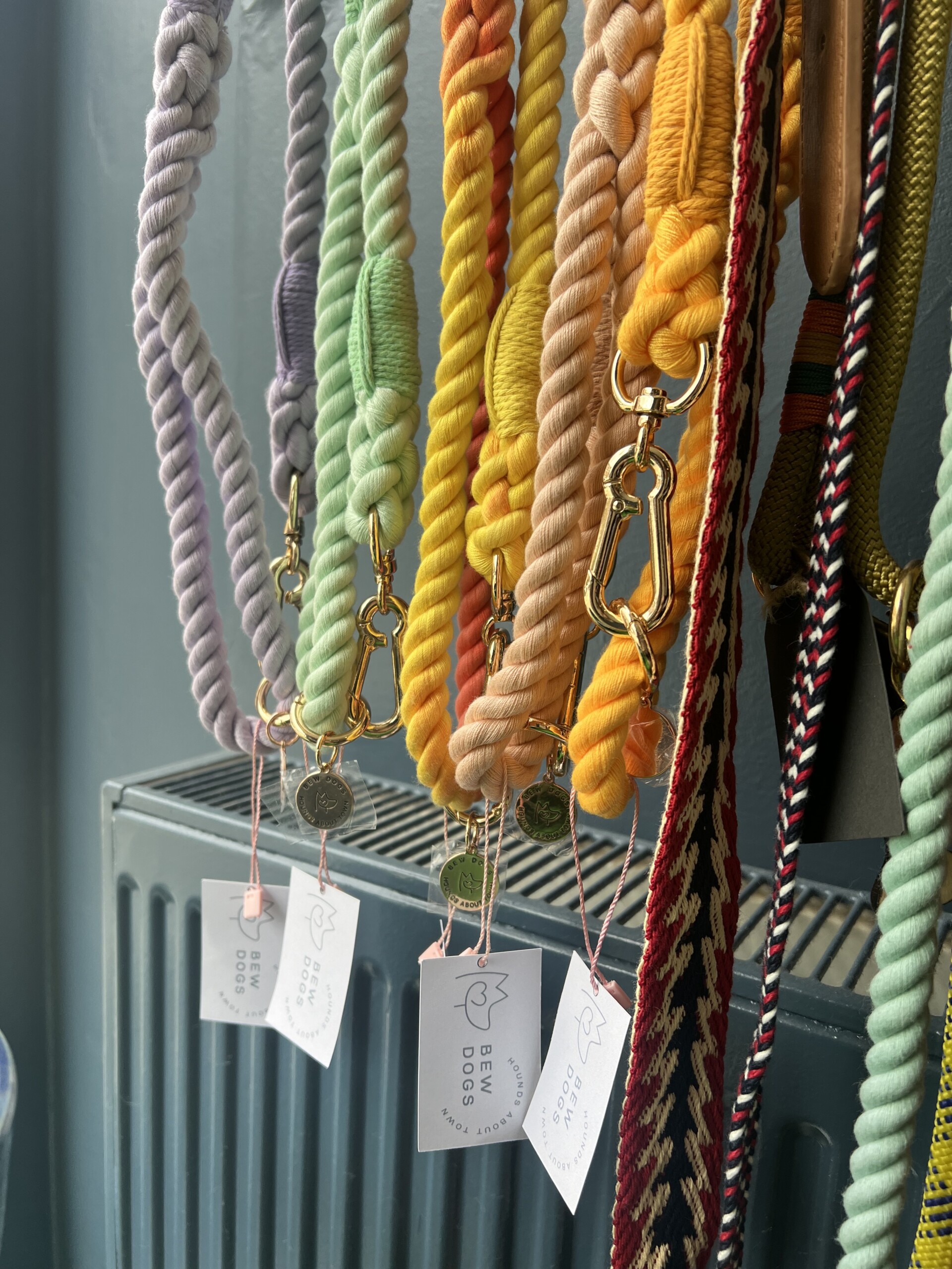 Pastel rope dog leads in lilac, mint green, peach and honey orange with bew dogs tags, hanging against a modern dark blue painted wall. 