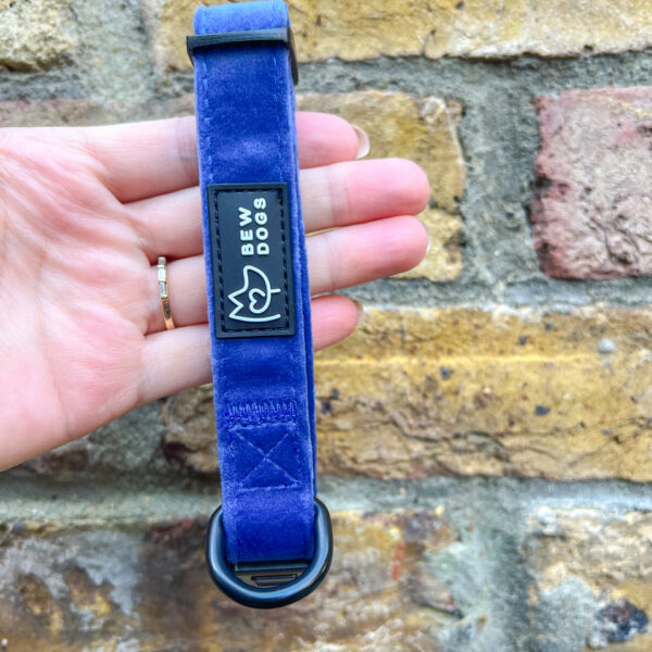 Midnight Blue Velvet Dog Collar