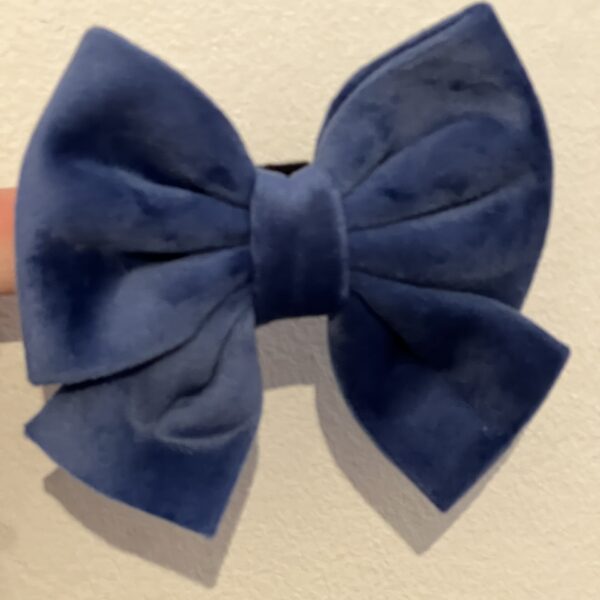 a navy blue velvet sailor bow for cats or dogs, held in front of a white wall
