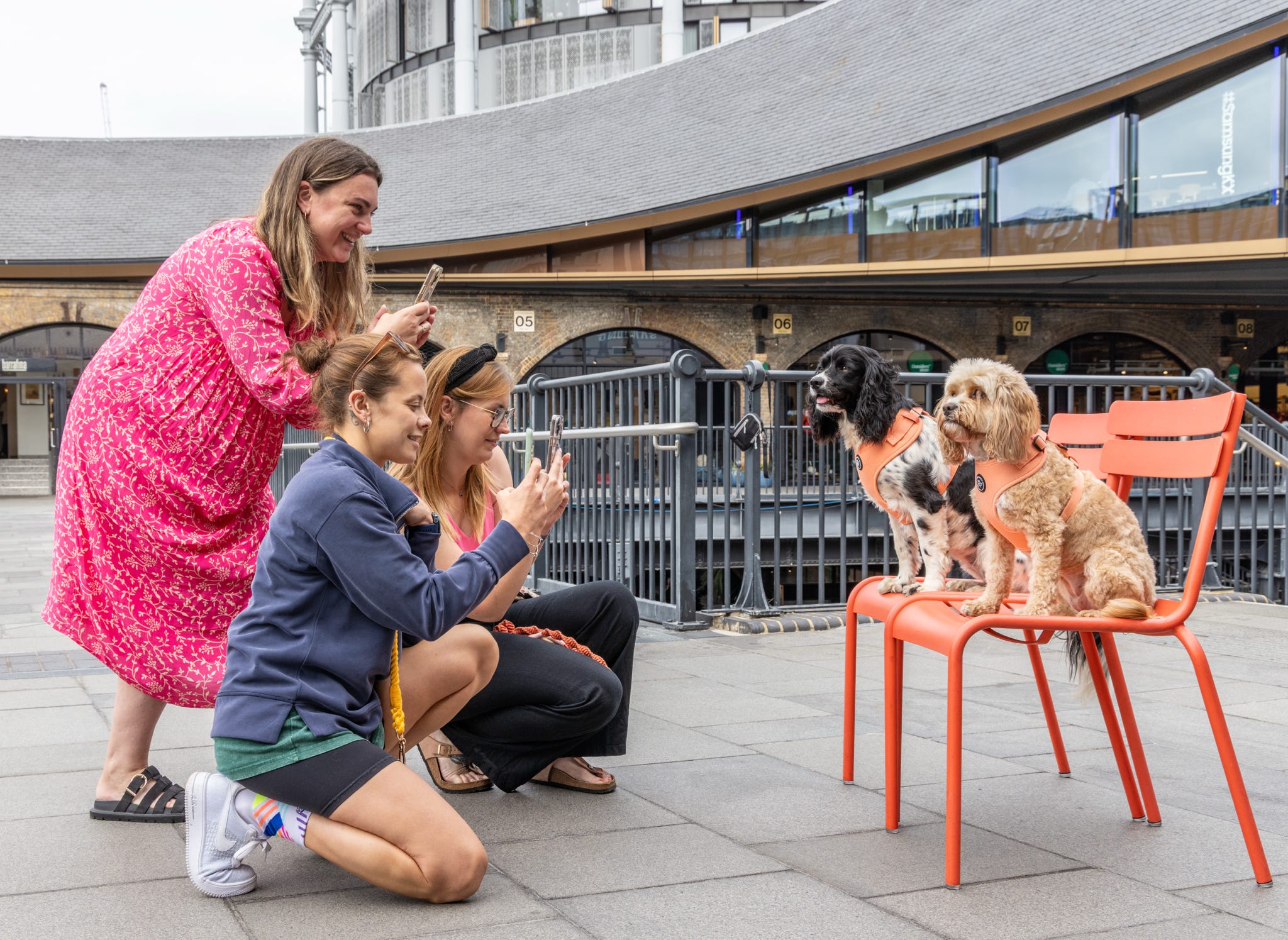 3 dog mums take photos of two beautiful dogs in matching bew dogs accessories, and will be exhibiting at the 4 best dog shows in london this autumn. thedogs are sat on a pair of red chairs in kings cross coal drops year