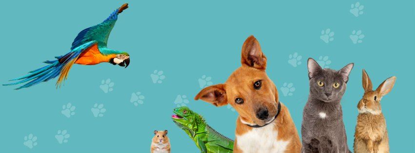 a blue background showing a dog, cat, rabbit lizard and hamster in front with a parrot about to fly over them