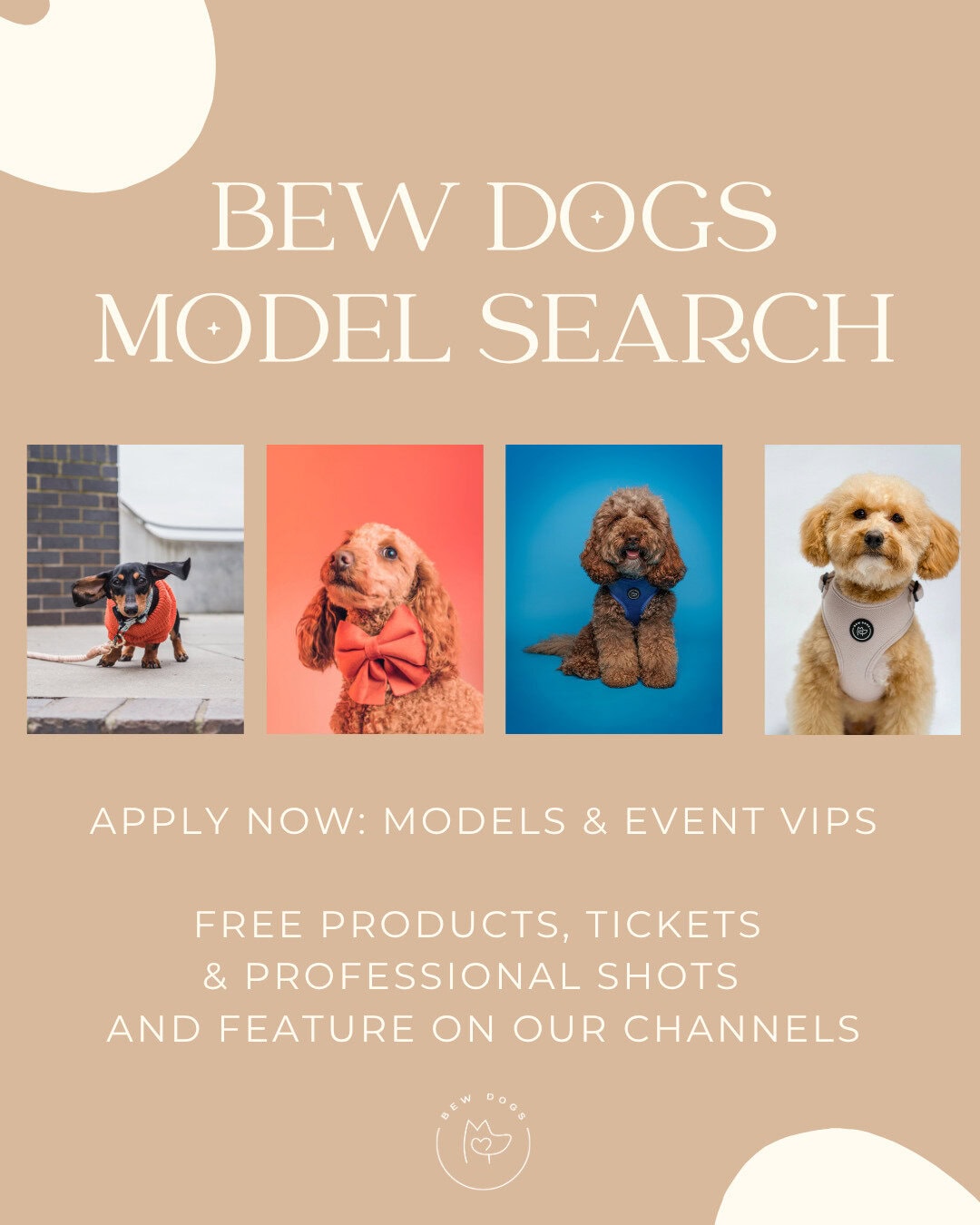 Dog model search for upcoming campaigns and events. Apply now to showcase your pet's talent and styl.