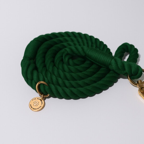 Eco-friendly forest green dog lead with brass clip and charm.