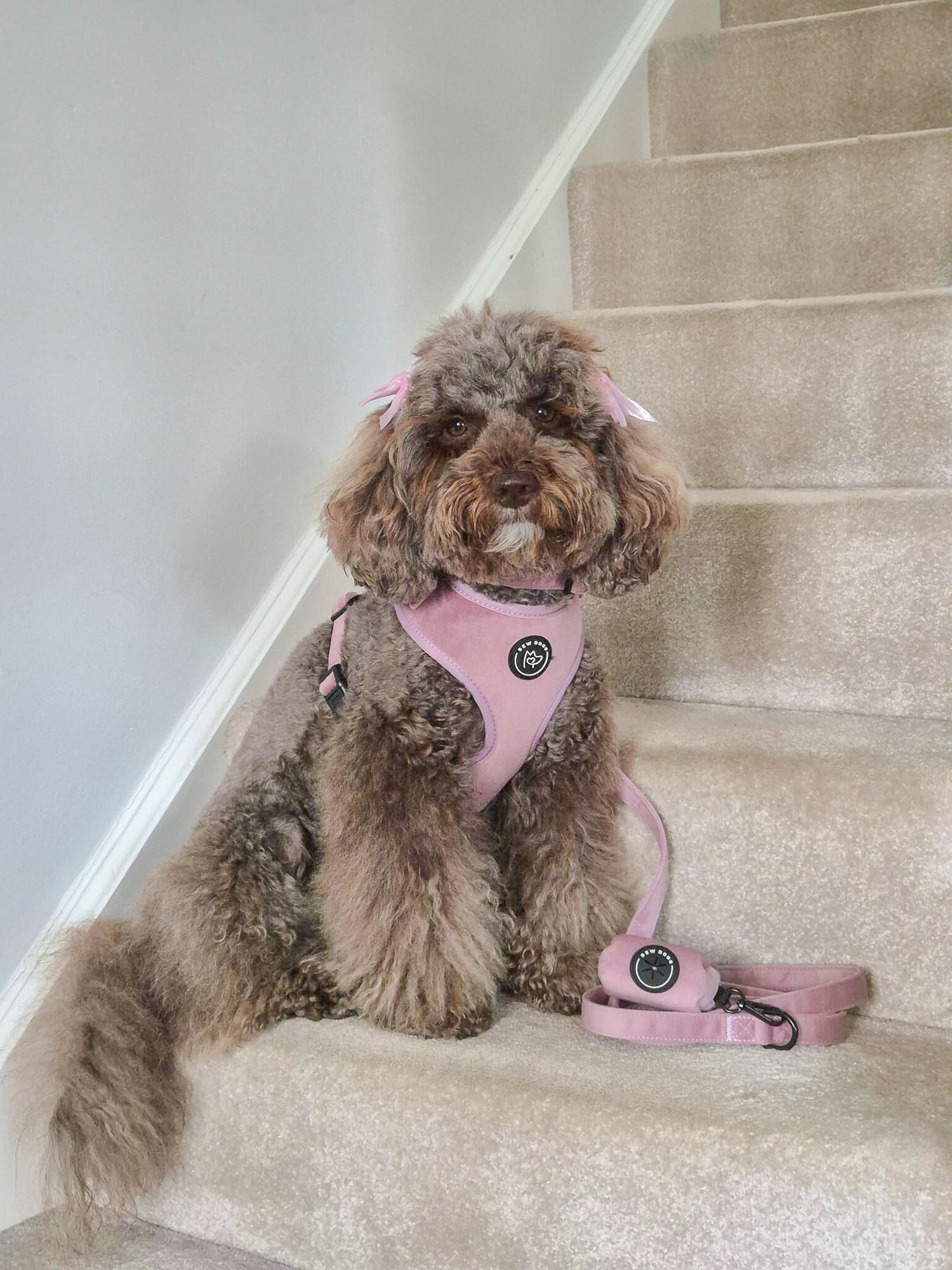 Rose Velvet Harness Bundle